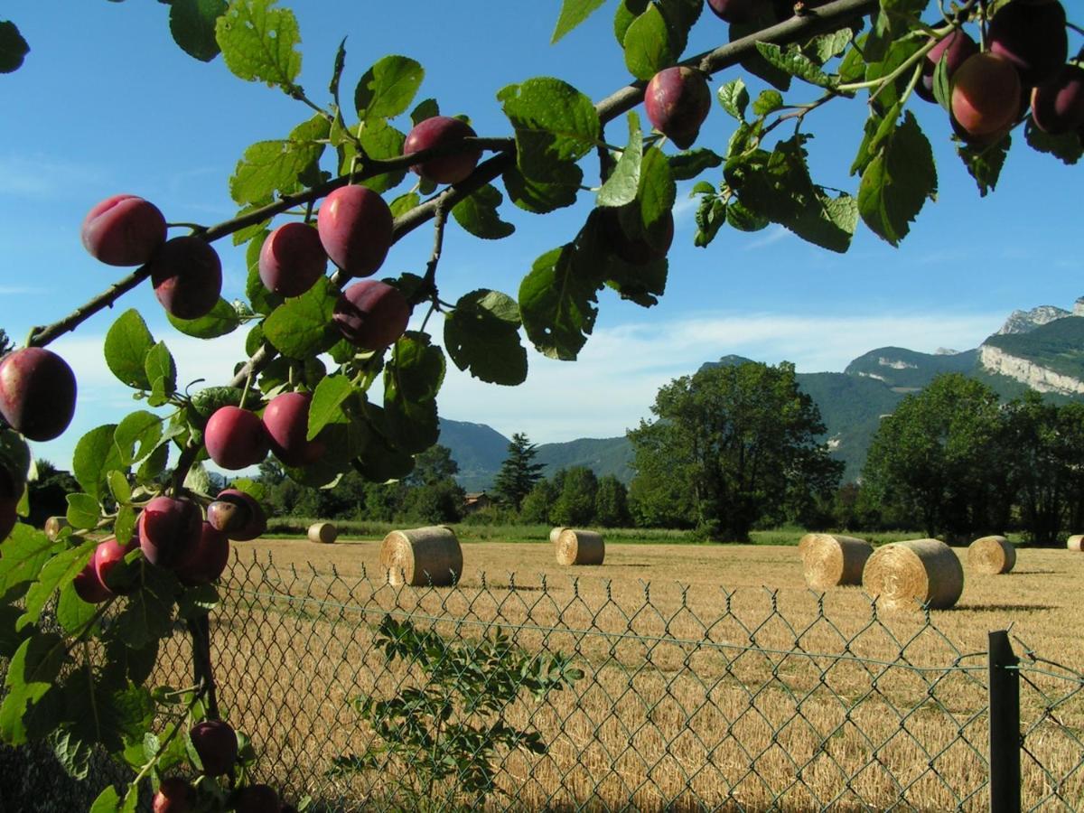 Les Champs Dores Noyarey 外观 照片